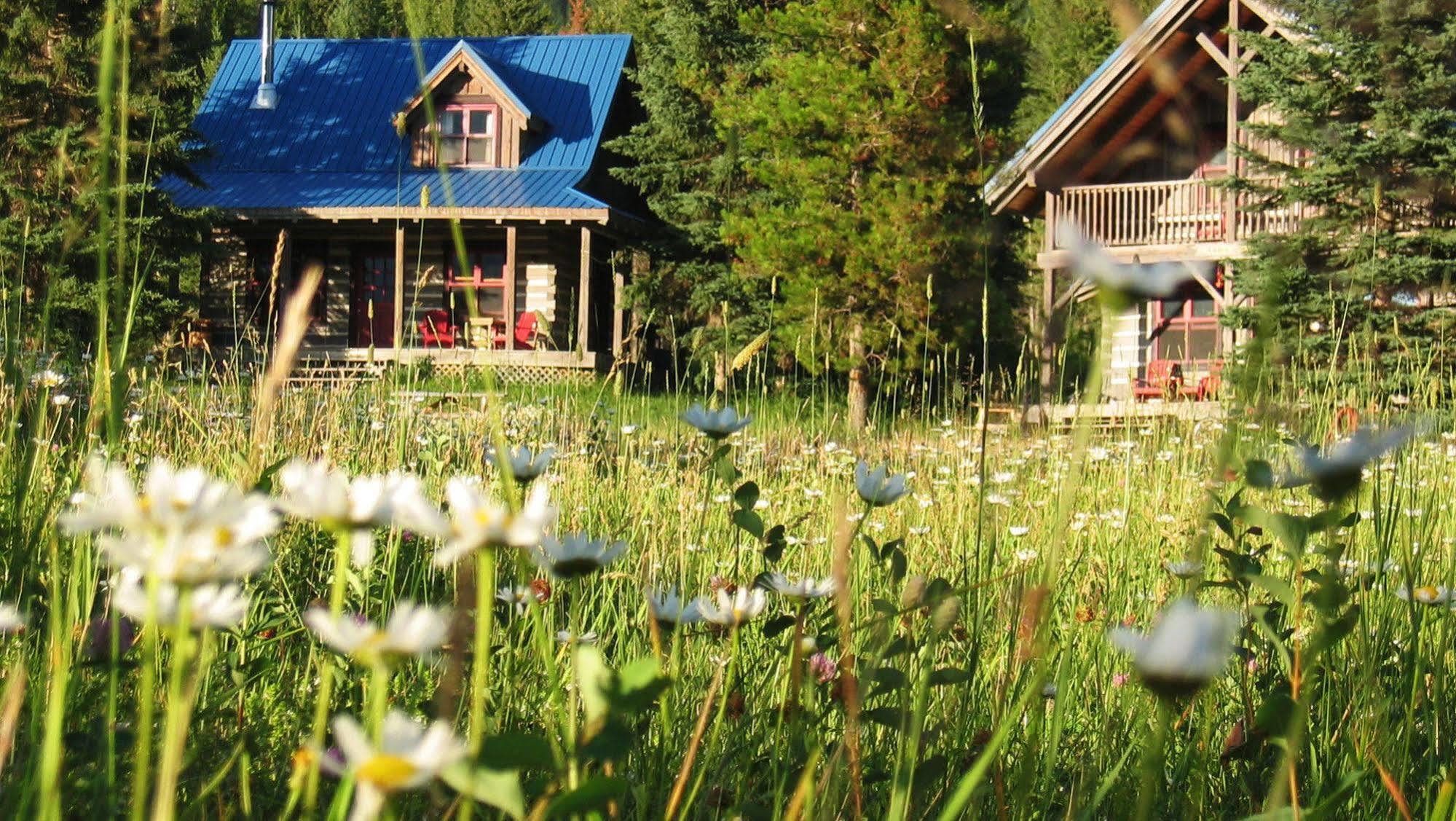 Nipika Mountain Resort Radium Hot Springs Zewnętrze zdjęcie